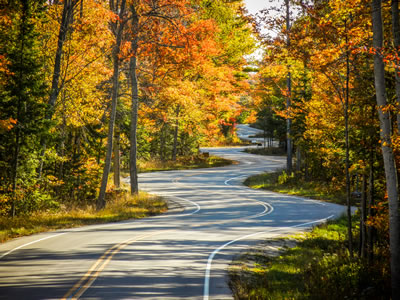 javajam road